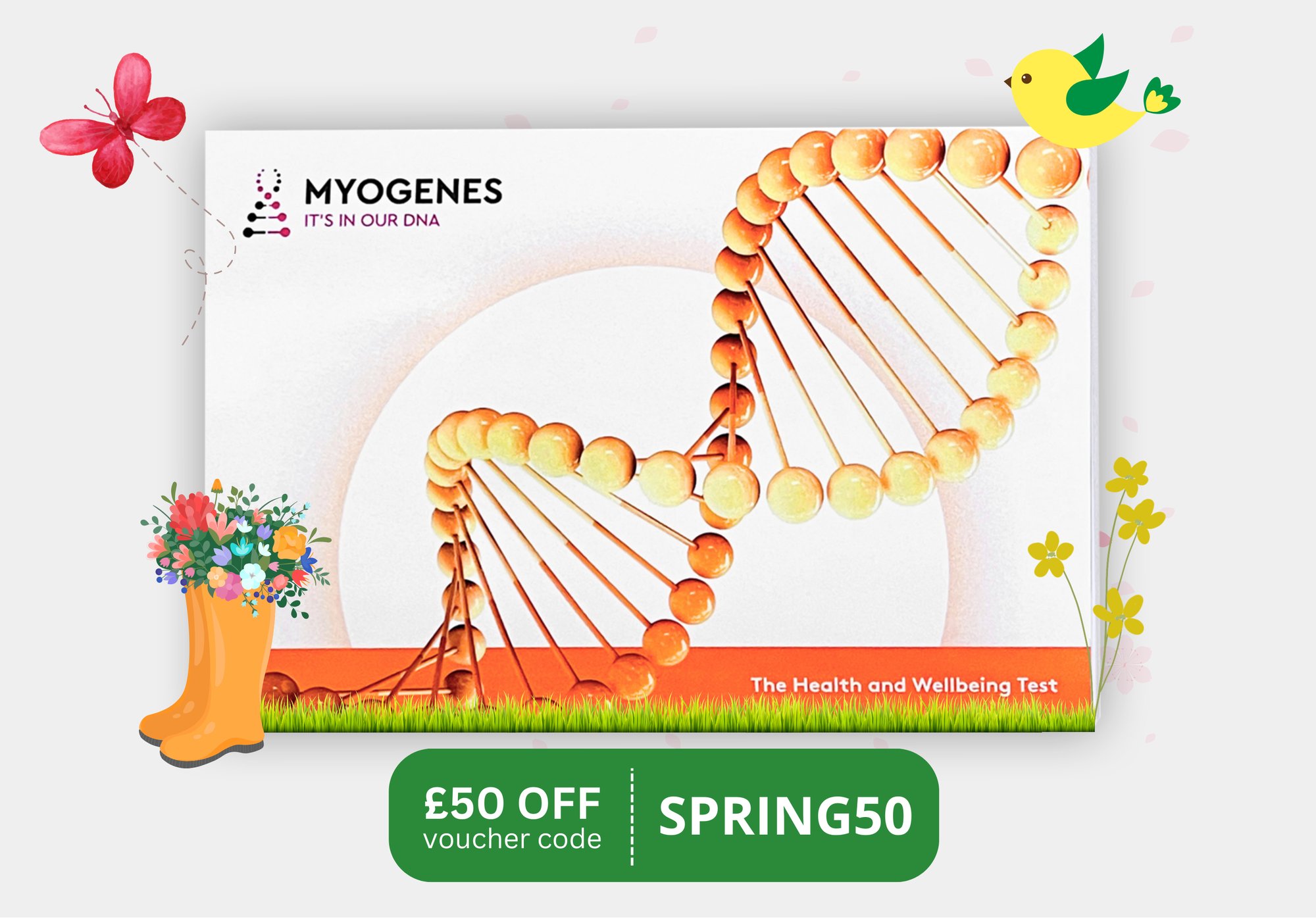 Spring Sale